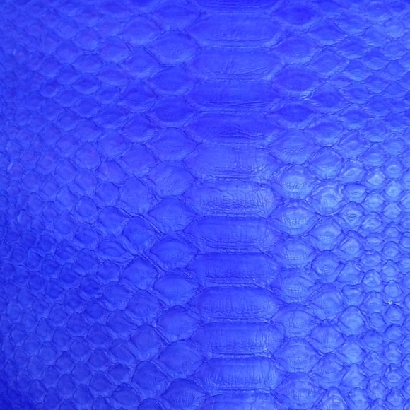 Cobalt Python Clutch - Picture 5 of 8
